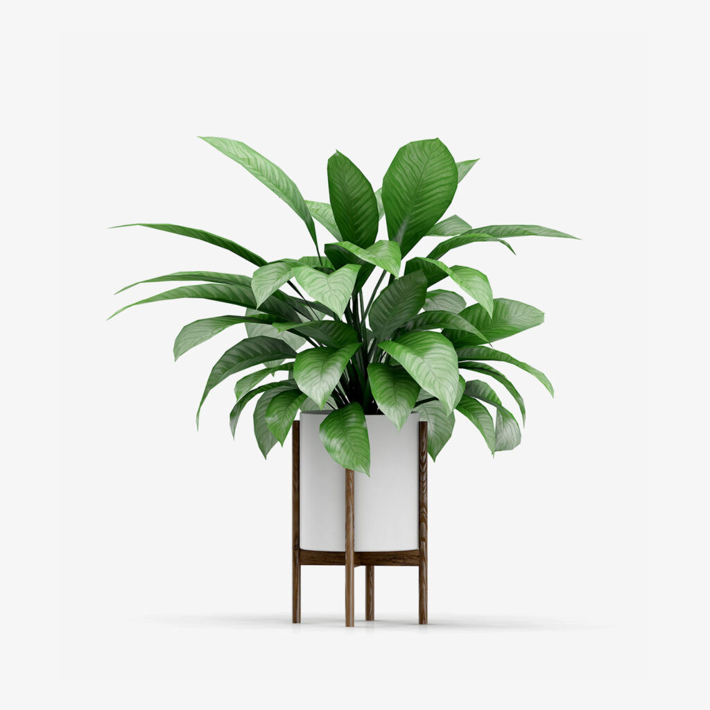Nilson Basics Artificial Fake Tree - Imagem 3